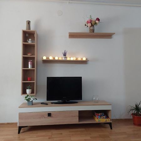 Apartament Ambrus Сигишоара Екстериор снимка