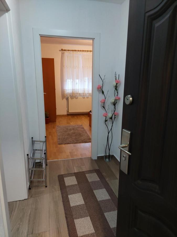Apartament Ambrus Сигишоара Екстериор снимка