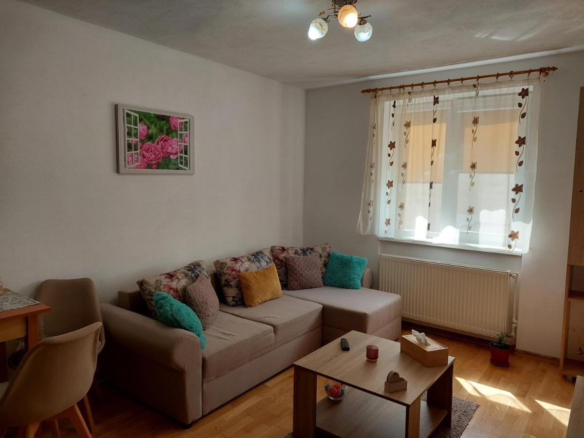 Apartament Ambrus Сигишоара Екстериор снимка