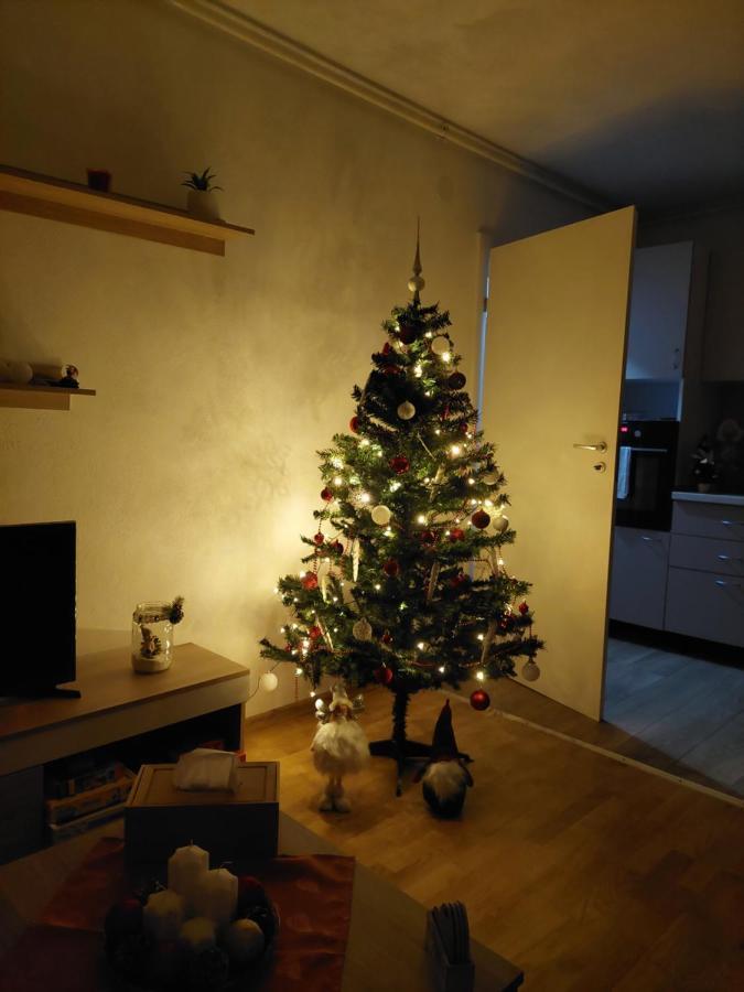 Apartament Ambrus Сигишоара Екстериор снимка